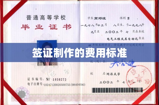 剑阁签证制作的费用标准