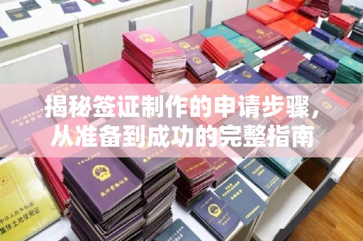 剑阁揭秘签证制作的申请步骤，从准备到成功的完整指南