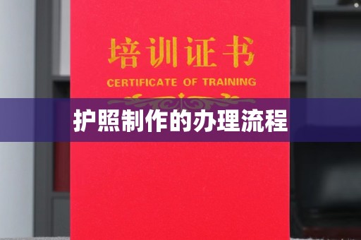 剑阁护照制作的办理流程